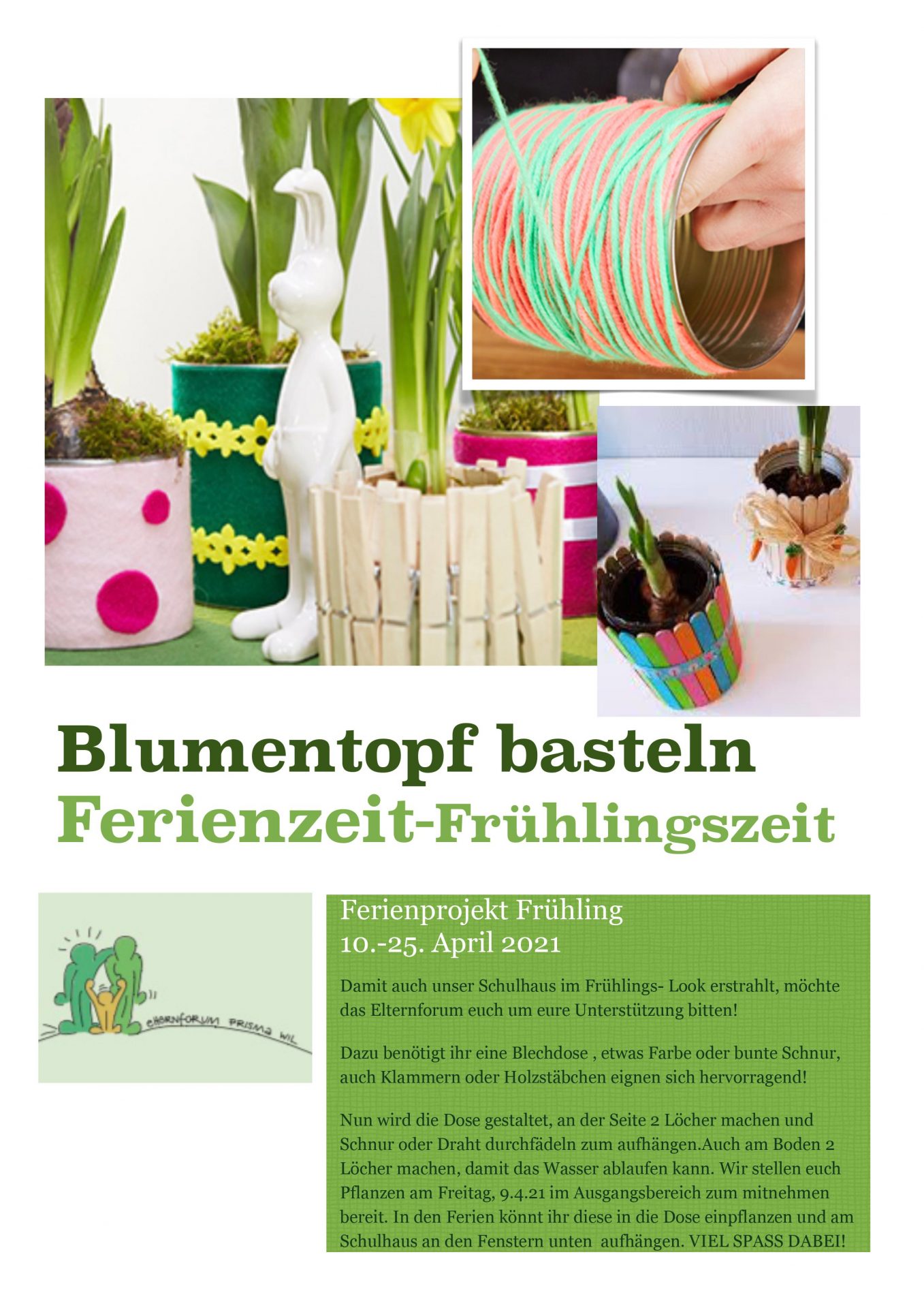 FlyerTopfpflanzen